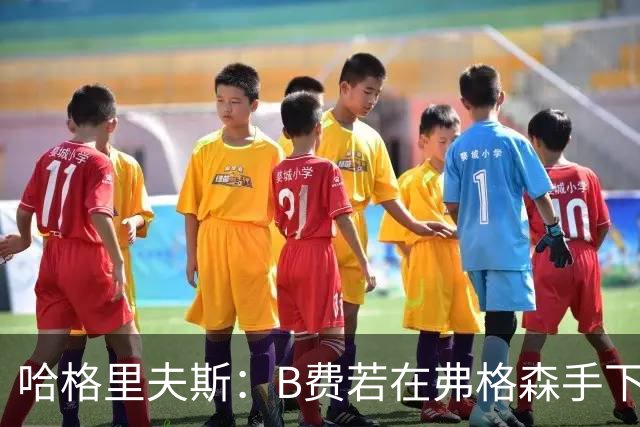 哈格里夫斯:B费若在弗格森手下说这话,就没机会再上场了