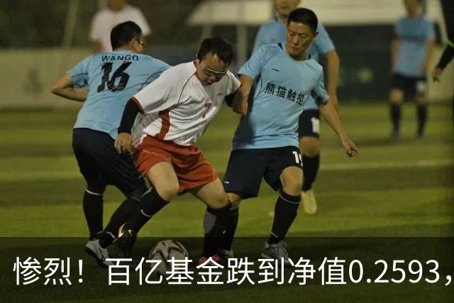 惨烈!百亿基金跌到净值0.2593,暴跌74%!无数基民不敢打开账户